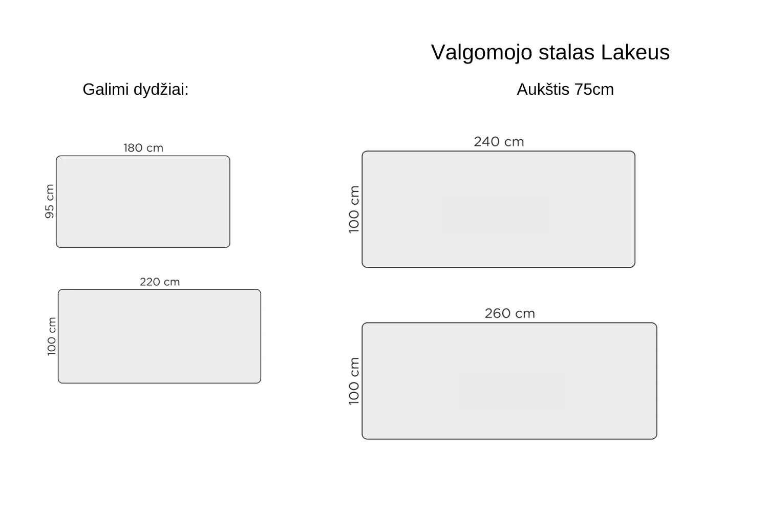Valgomojo stalas Lakeus 100x200cm ąžuolinis - Image 4