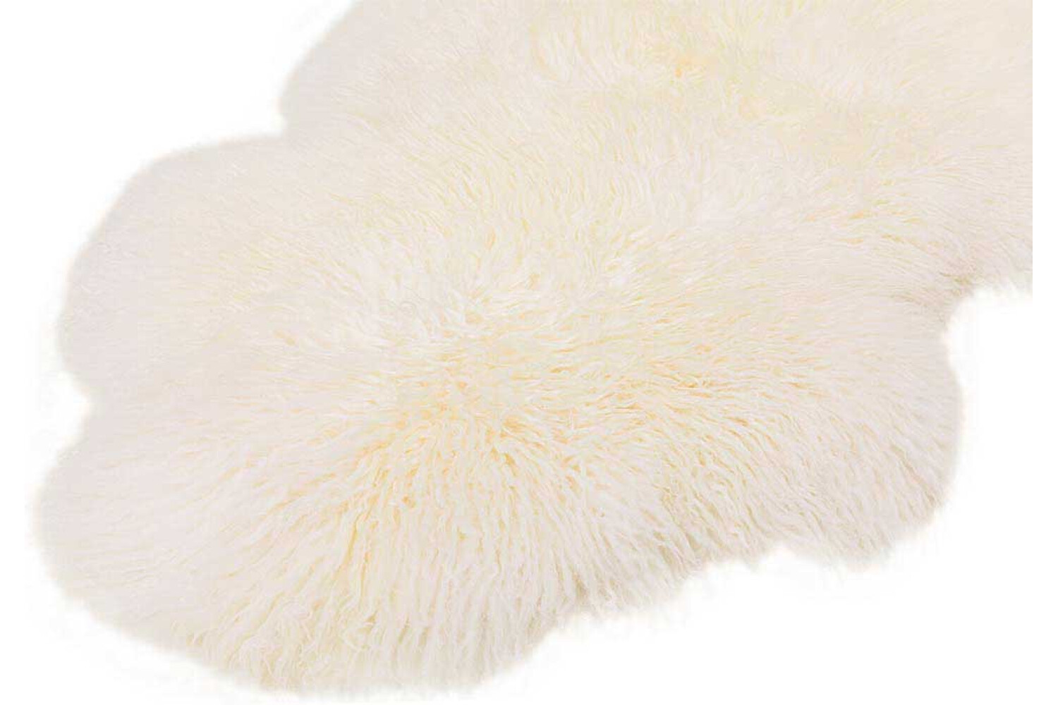 Avies kailis tibet baltas