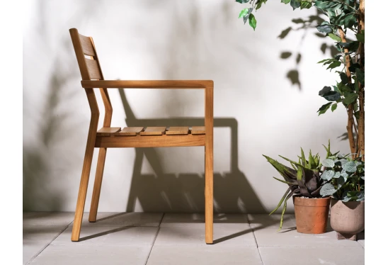 Alternative view of Kėdė Delia tikmedžio masyvas