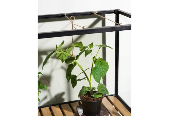 Alternative view of Šiltnamis terasai Grower greens 81x41x137cm juodas