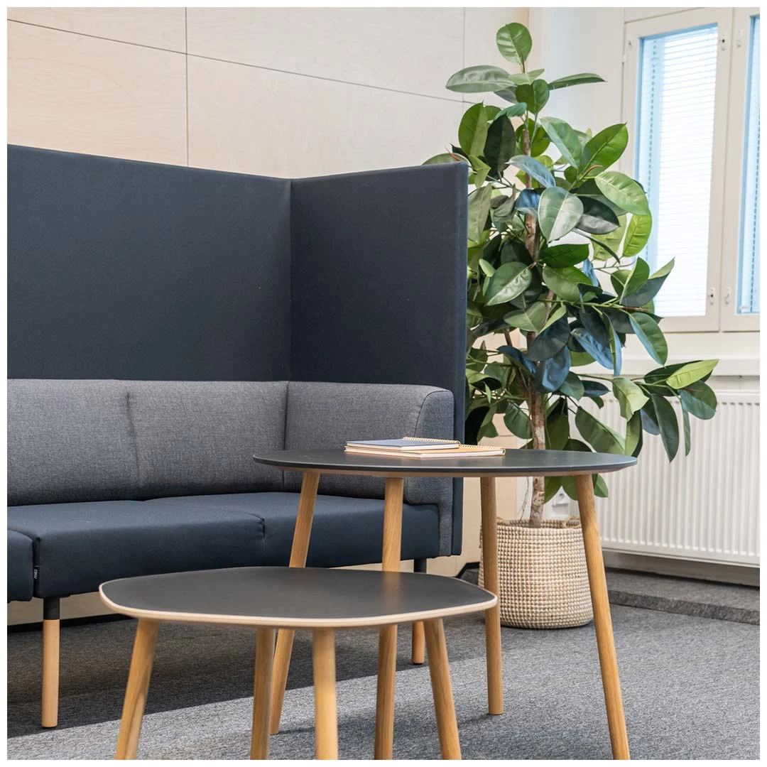 Sofa Combi aukštu atlošu - Image 3