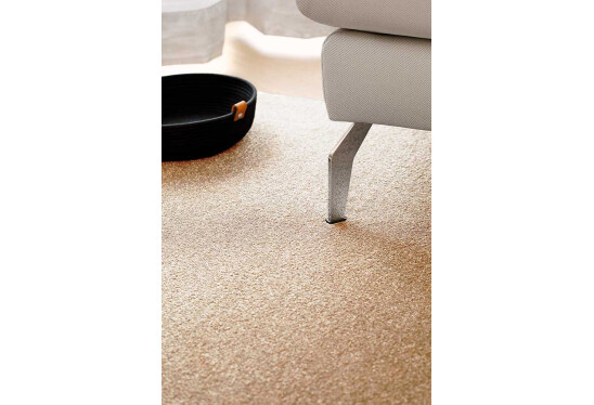 Alternative view of Kilimas Eden Round Camel